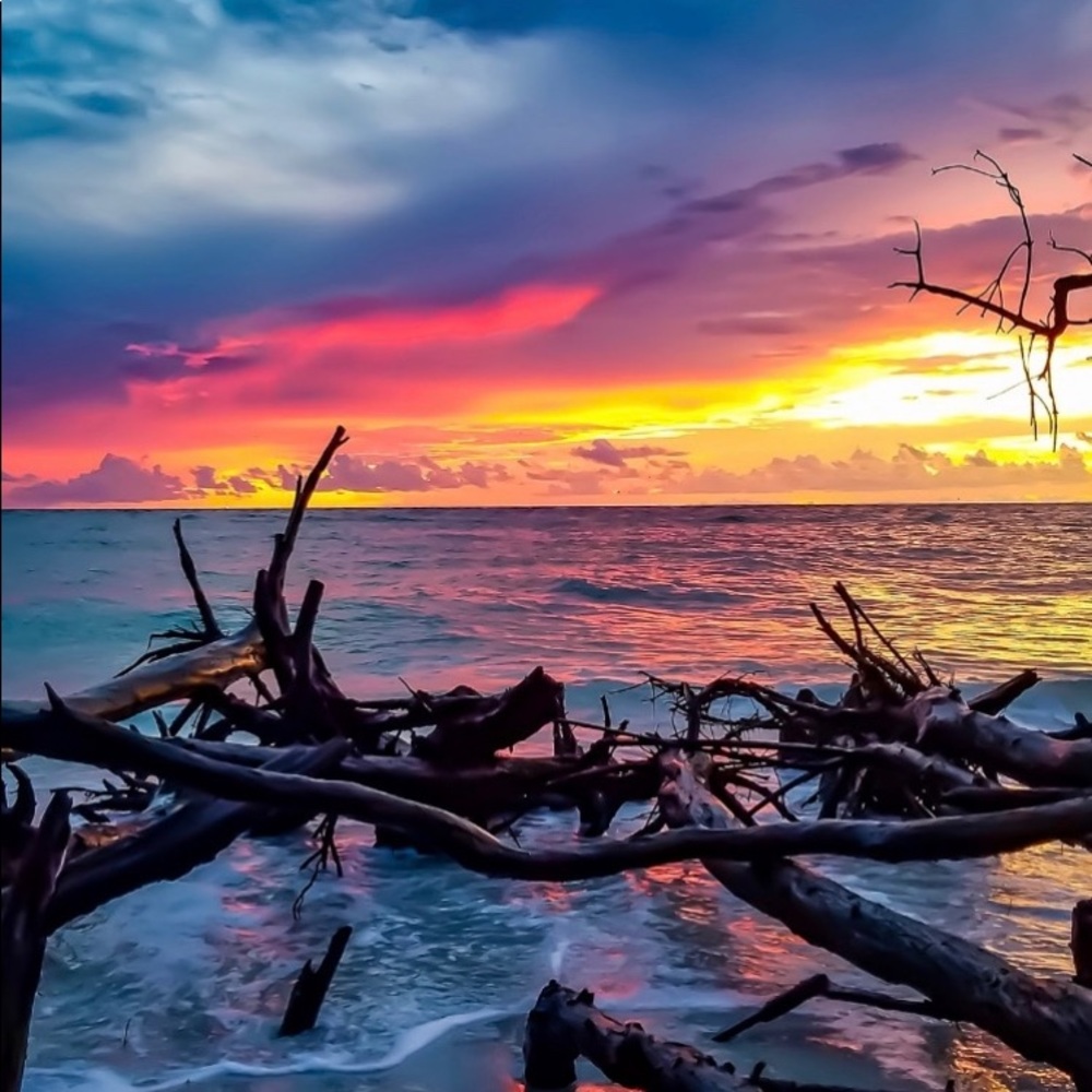 Meet your Posher, Sonja